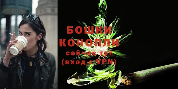 мет Бородино