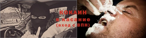 мет Бородино